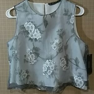 Zara Basic Cropped Sheer Flowered Top